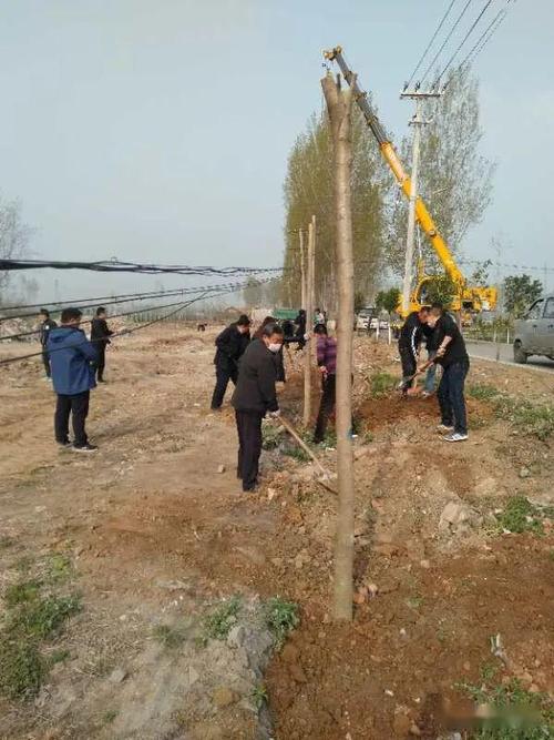 中华于姓文化园一期园林绿化工程施工现场速递